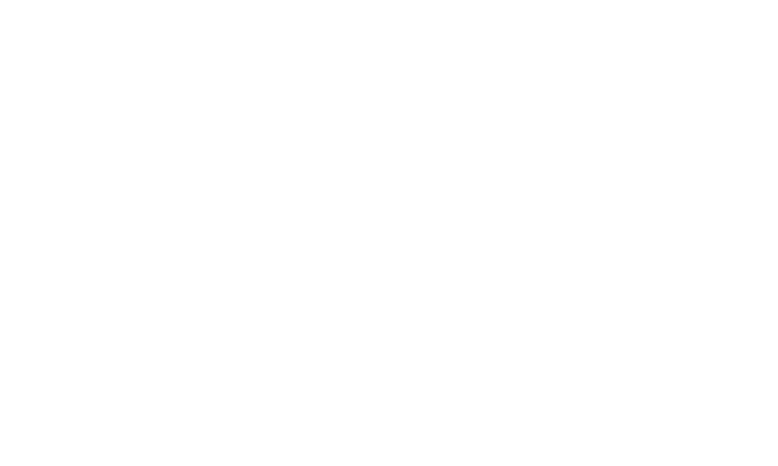 Revisione CDP Logo
